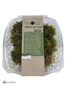 Fresh Sheet Moss (2 quart)