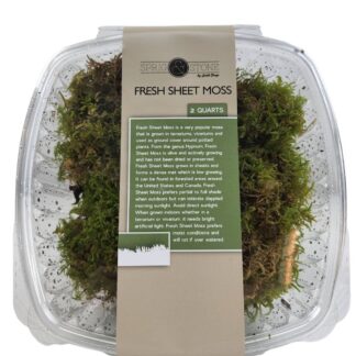 Fresh Sheet Moss (2 quart)
