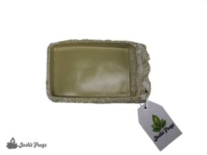 Josh’s Frogs Stone Food Dish with Ramp (Medium)