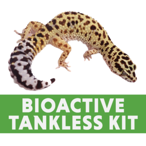 Leopard Gecko Bioactive Tankless Kit (for 48″x24″x16″ enclosure)