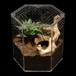 Tarantula Cribs – Hexagon Crib