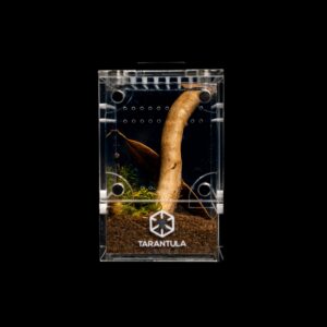 Tarantula Cribs – Treehouse Crib